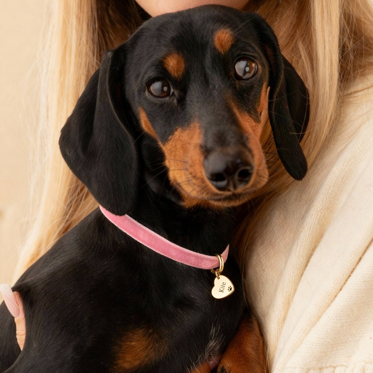 Collar Amor Mascota - Personalizado