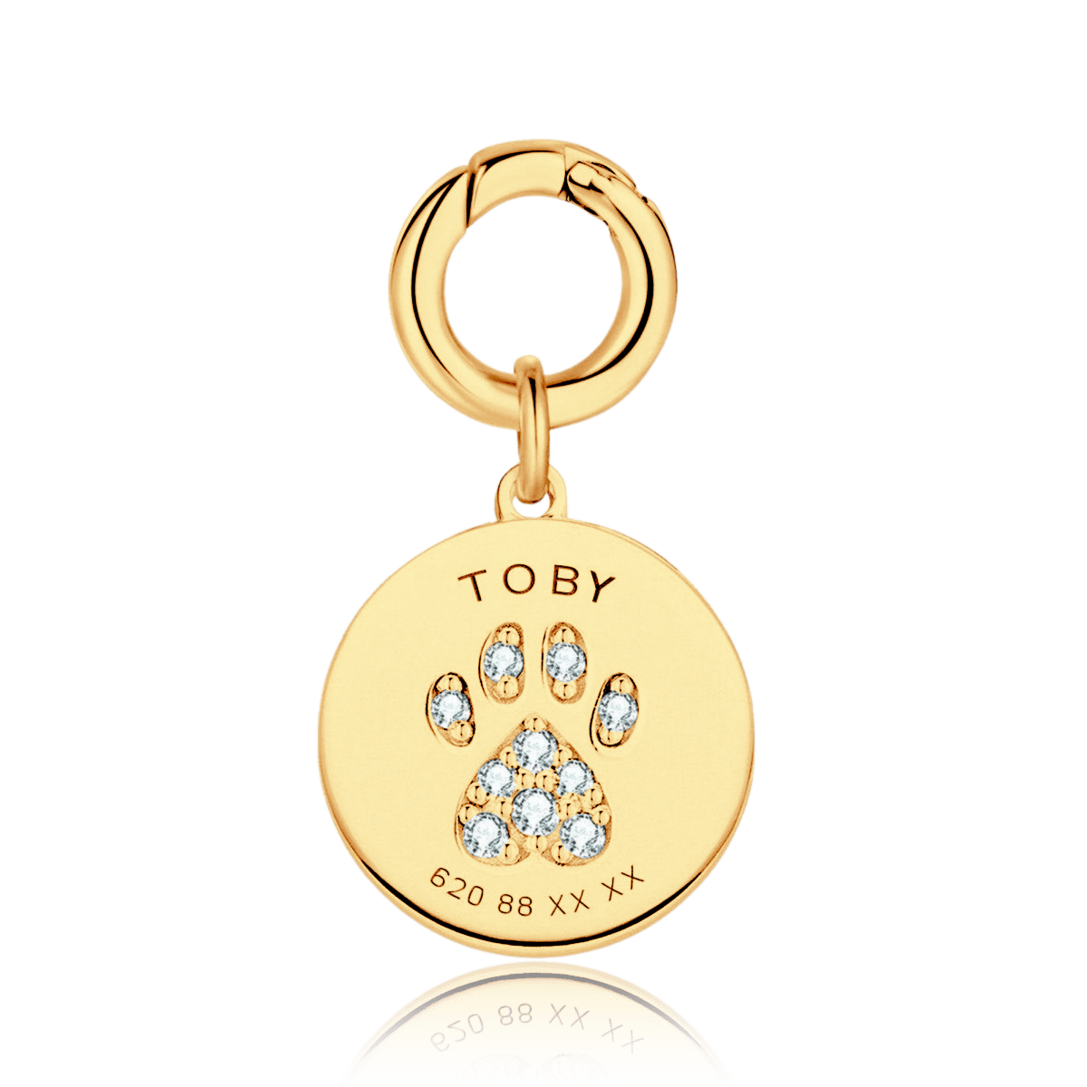 Collar Mascota - Personalizado