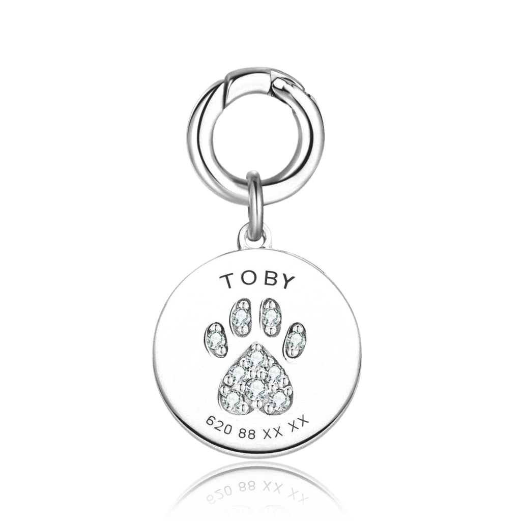 Collar Mascota - Personalizado