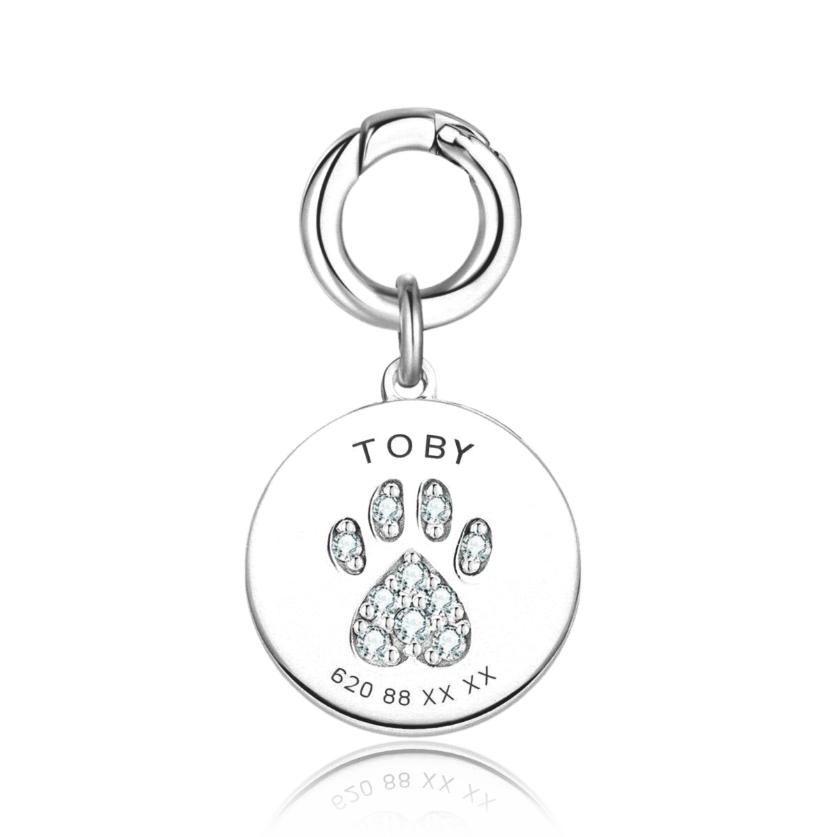 Collar Mascota - Personalizado